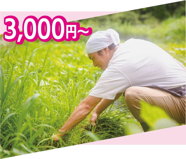 草むしり3,000円~